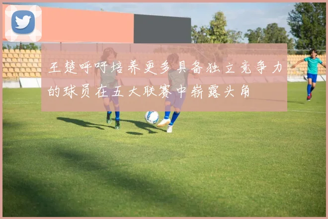 王楚呼吁培养更多具备独立竞争力的球员在五大联赛中崭露头角