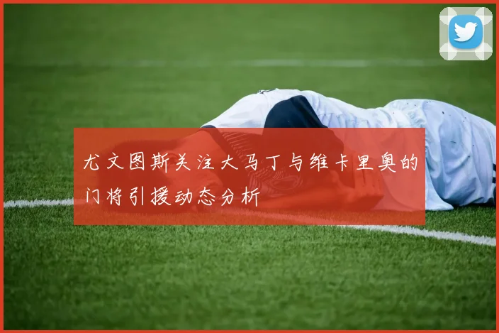 尤文图斯关注大马丁与维卡里奥的门将引援动态分析